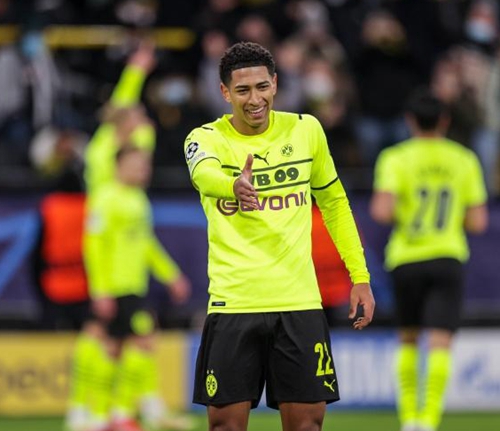 独树一帜 独树一帜